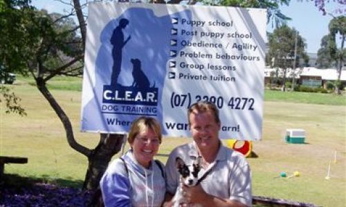 at sunday puppy school  48