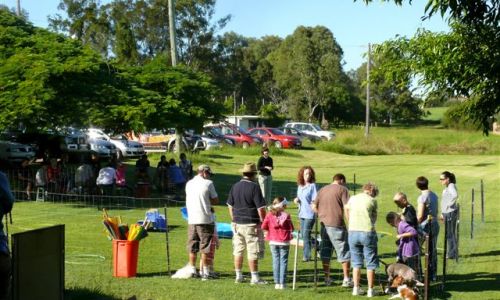 at sunday puppy school 34