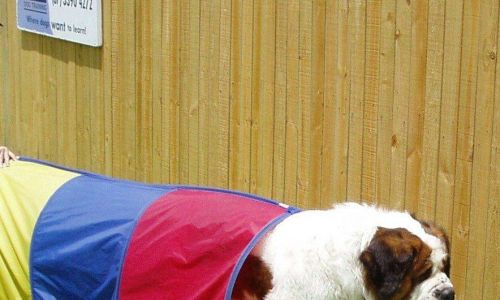 07 31st October 2004 010a