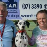  clear puppy school - 2-5-09ws 060