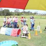 21 CLEAR Puppy school 19-10-08 (108)