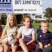 at sunday puppy school  52